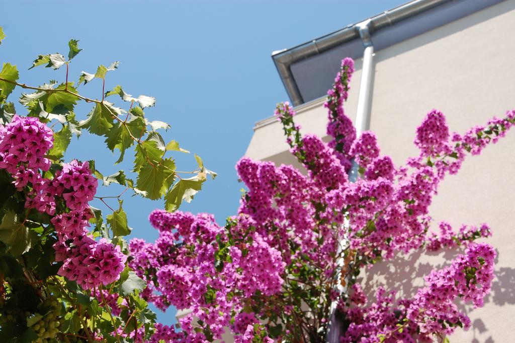 Apartments Alajbeg Trogir Exterior foto